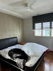 Blk 849 Woodlands Street 82 (Woodlands), HDB Executive #583374421
